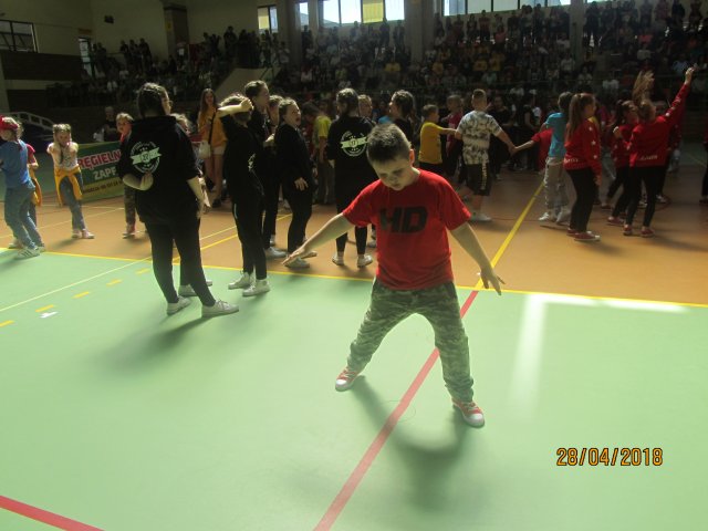 turta 268